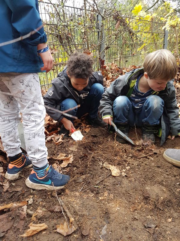 Kinder und Pflanzen im Schulgarten