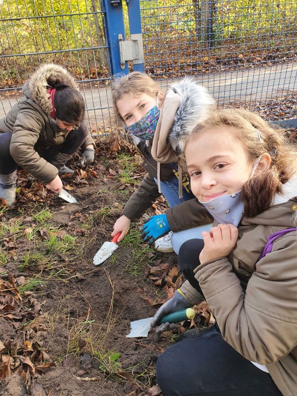 Kinder und Pflanzen im Schulgarten