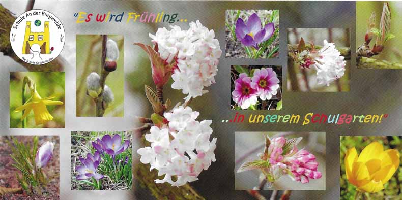 bl&uuml;hende Blumen