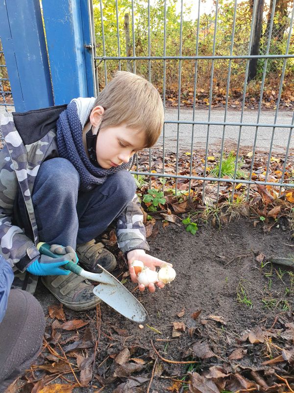 Kinder und Pflanzen im Schulgarten