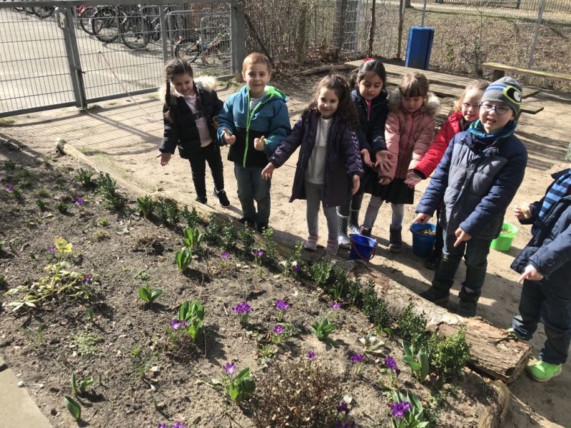 Kinder und Pflanzen im Schulgarten
